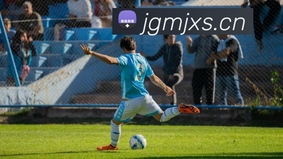 人人体育直播服务体系